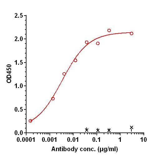 0 - Anti-CD28 Reference Antibody (TGN-1412) APR11241