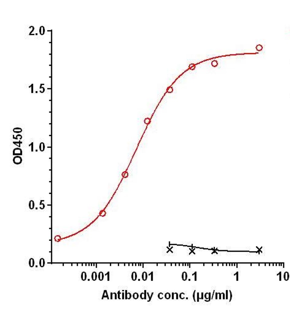0 - Anti-B7-H3 / CD276 Reference Antibody (HS-20093) APR11280