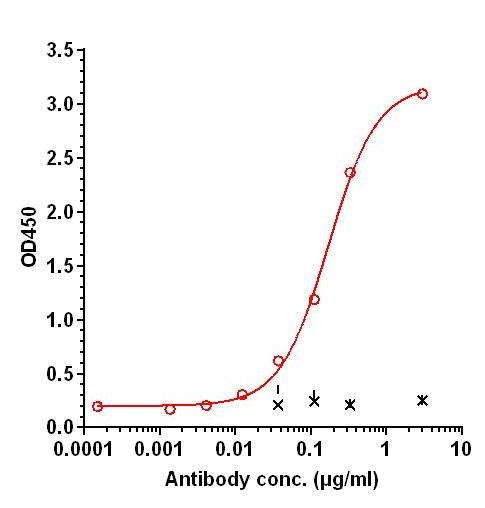 0 - Anti-BMP6 Reference Antibody (Novartis patent anti-BMP6) APR11283