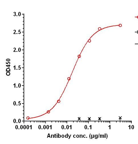 0 - Anti-SOSTDC1 Reference Antibody (Amgen patent anti-WISE) APR11311