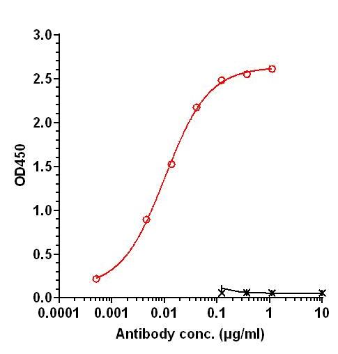 0 - Anti-ENTPD2 Reference Antibody (Novartis patent anti-ENTPD2) APR11328