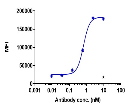 0 - Anti-CCR6 Reference Antibody (MSM patent anti-CCR6) APR11330