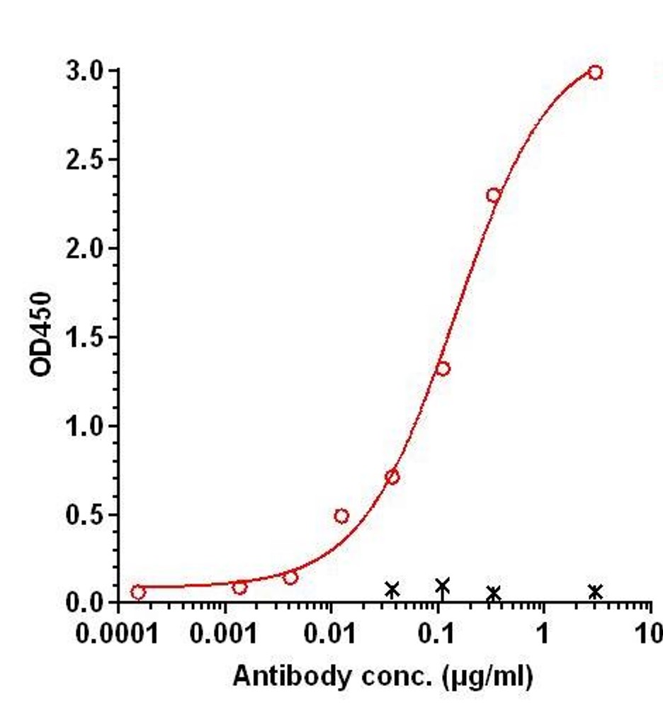 0 - Anti-Transthyretin Reference Antibody (coramitug) APR11334