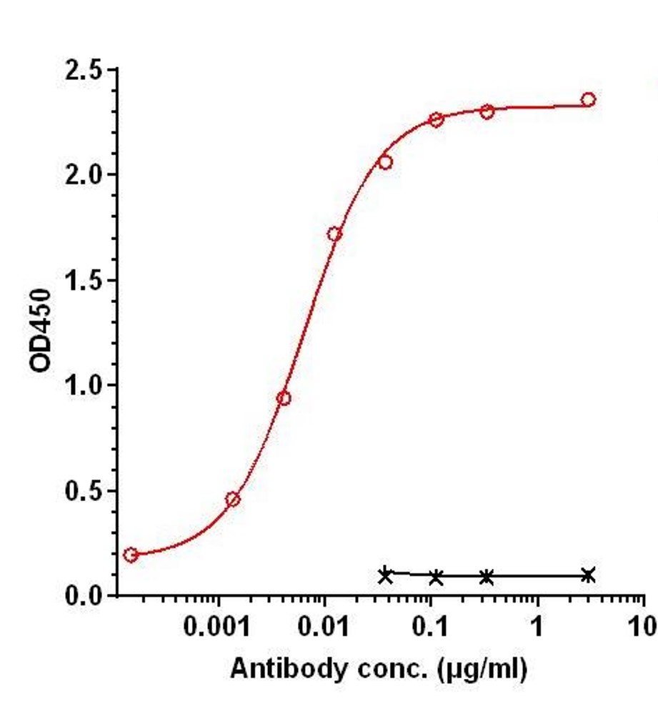 0 - Anti-Her4 Reference Antibody (INSERM patent anti-Her4) APR11341