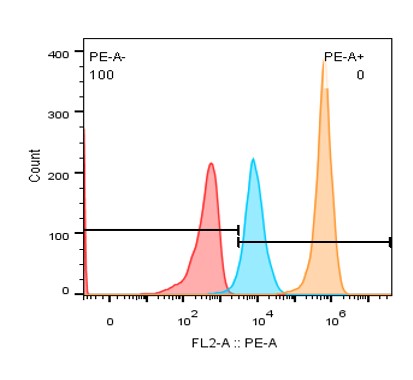 0 - Anti-CD90 Reference Antibody (Immunome patent anti-EPN1) APR11487