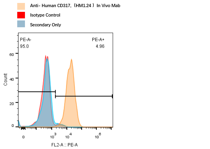 0 - Anti-CD86 Reference Antibody (Ludwig-Maximilians U. anti-CD86 CAR) APR11513