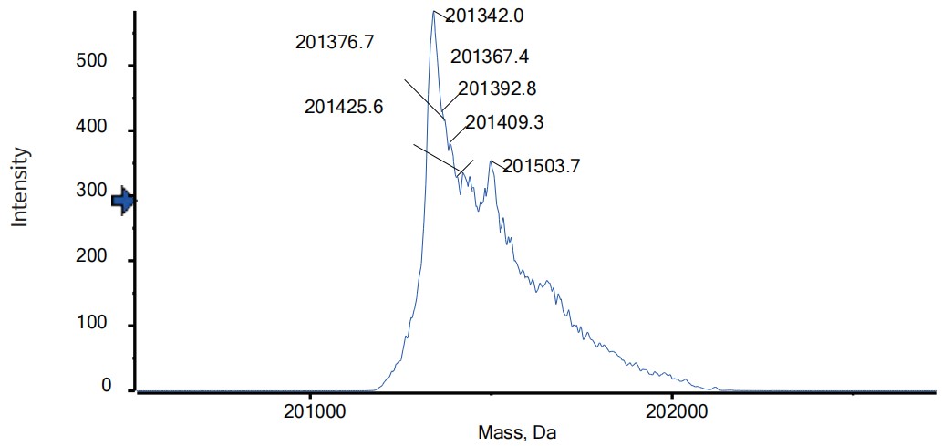 0 - Anti-BAFF & IL-17A Reference Antibody (Tibulizumab) APR11553