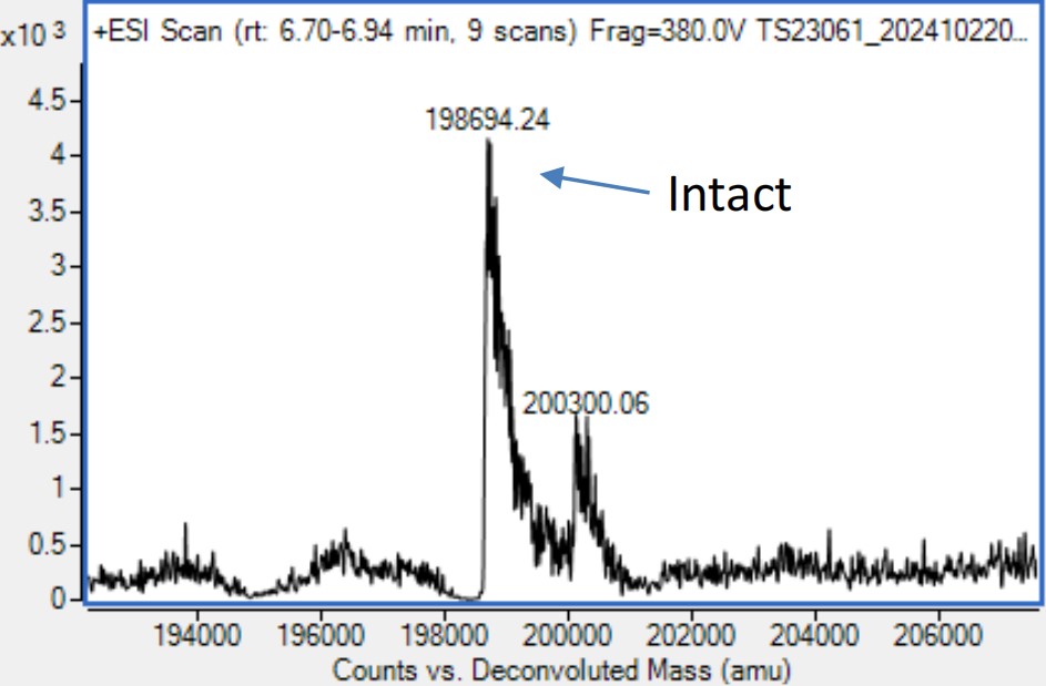 0 - Anti-PD-1 & CTLA-4 Reference Antibody (Cadonilimab) APR11554