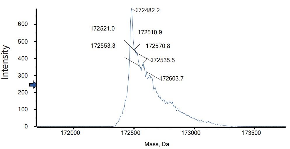 0 - Anti-PD-L1 & VEGF Reference Antibody (Pm8002） APR11555