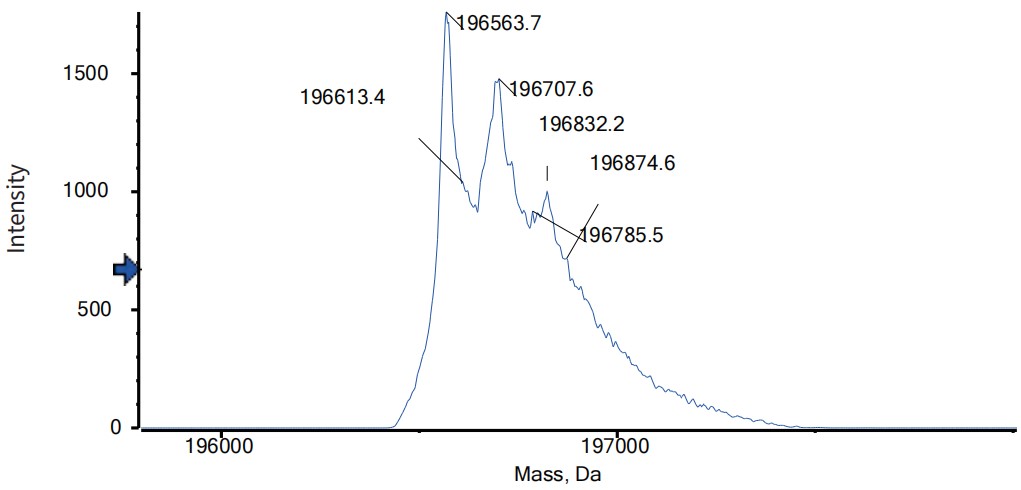 0 - Anti-IL-1a & IL1b Reference Antibody (Lutikizumab) APR11556