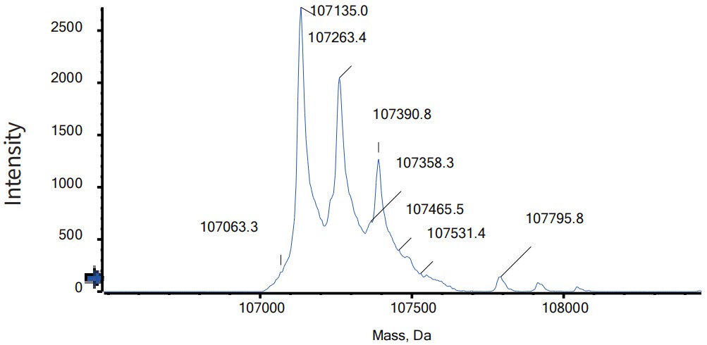 0 - Anti-CTLA4 & PD-L1 Reference Antibody (Erfonrilimab) APR11557