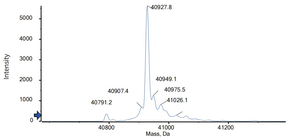 0 - Anti-IL-17 & IL-17F & Serum Albumin Reference Antibody (Sonelokimab) APR11558