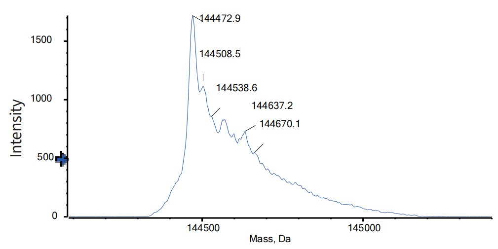 0 - Anti-EGFR & HER3 Reference Antibody (Duligotuzumab) APR11559