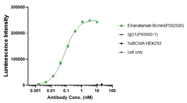 0 - Anti-BCMA & CD3 Reference Antibody (Elranatamab) APR11562