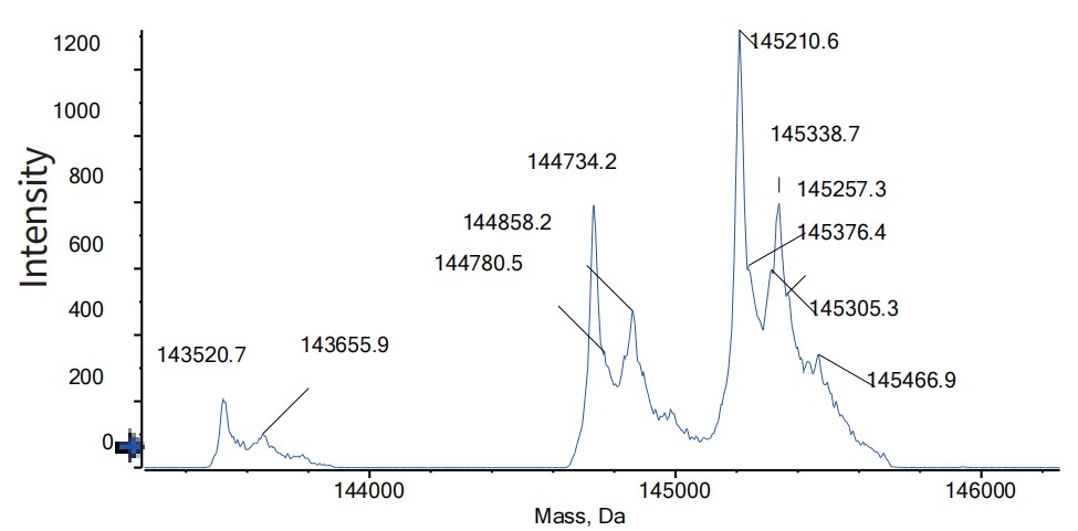 0 - Anti-BCMA & CD3 Reference Antibody (Elranatamab) APR11562