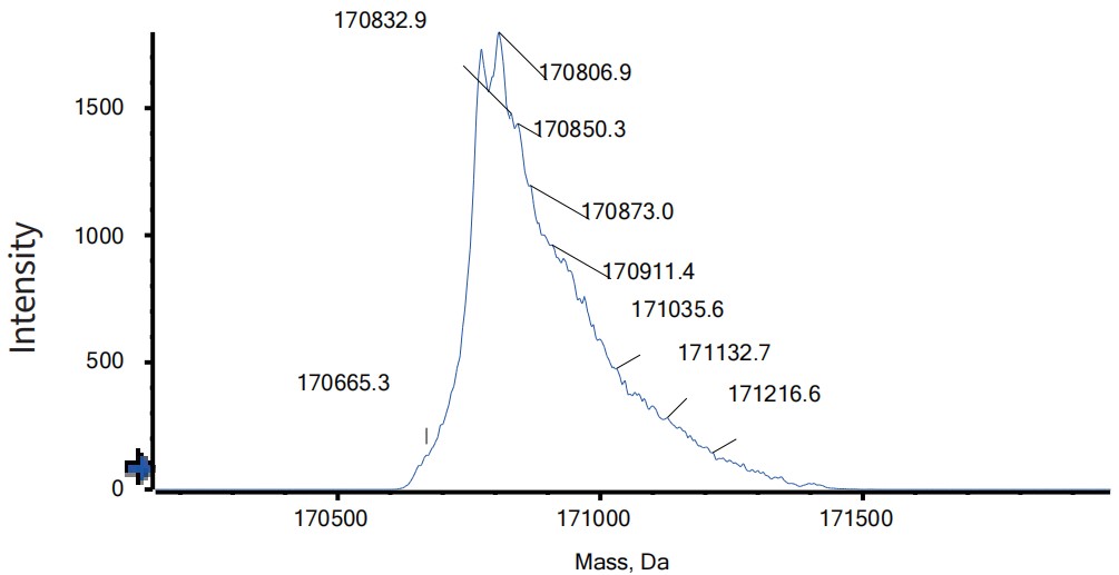 0 - Anti-PD-L1 & VEGF Reference Antibody (Sotiburafusp alfa） APR11563