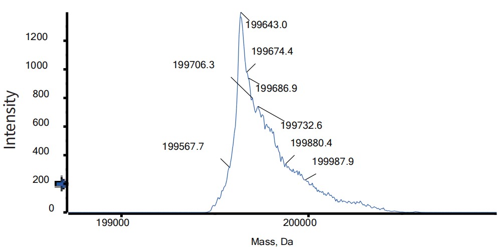 0 - Anti-HER3 & IGF-1R Reference Antibody (Istiratumab) APR11565
