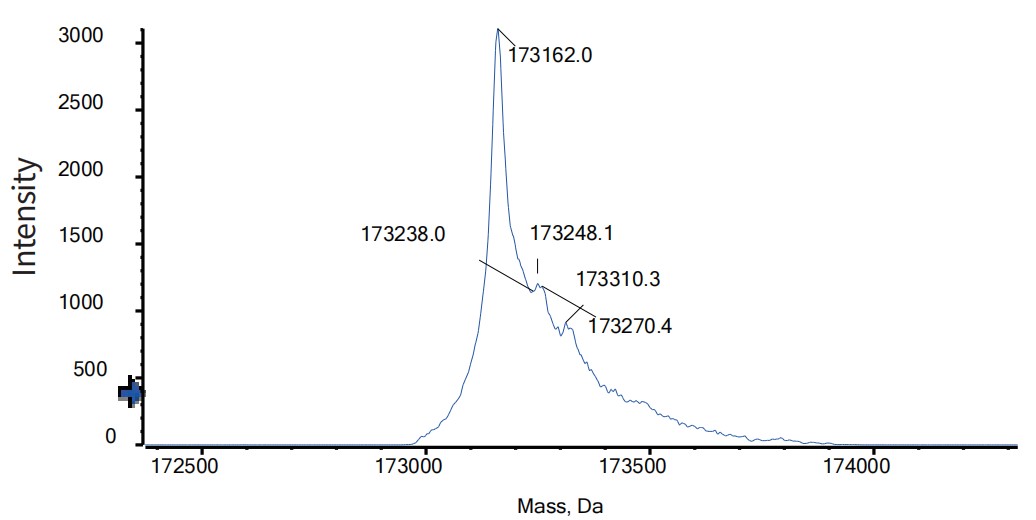0 - Anti-CD47 & PD-1 Reference Antibody (Hx009） APR11566