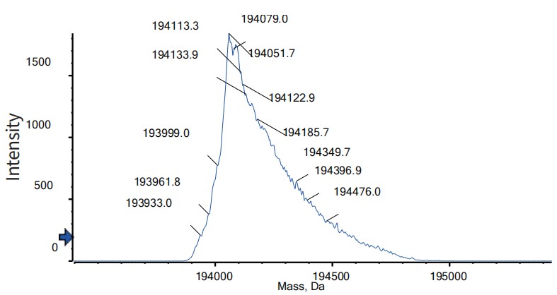 0 - Anti-CD20 & CD3 Reference Antibody (Glofitamab) APR11567