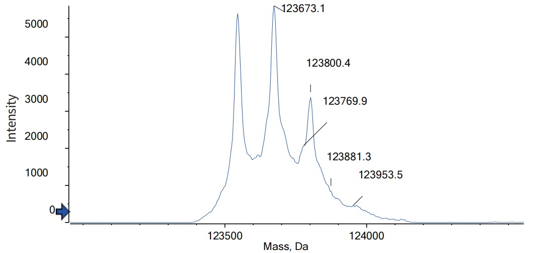 0 - Anti-BCMA & BCMA & CD3 Reference Antibody (TNB-383B) APR11568