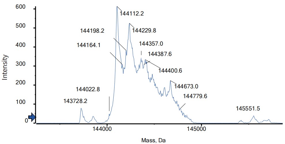 0 - Anti-IL-18 & IL-1β Reference Antibody (Mas825) APR11569