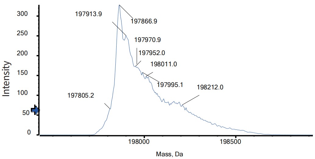 0 - Anti-IL-13 & IL-4 Reference Antibody (Romilkimab) APR11570