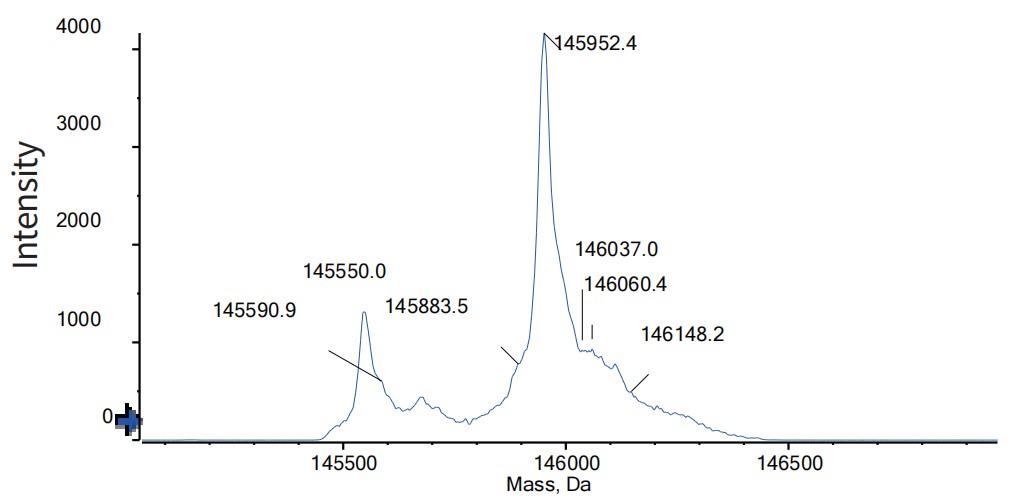 0 - Anti-BCMA & CD3 Reference Antibody (Linvoseltamab) APR11571