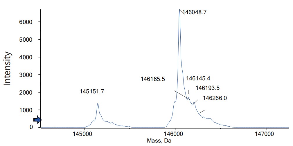 0 - Anti-CD20 & CD3e Reference Antibody (Mosunetuzumab) APR11573