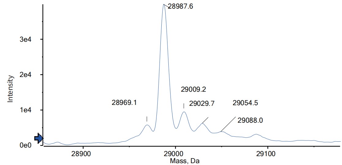 0 - Anti-C5 & Serum Albumin Reference Antibody (Gefurulimab) APR11574