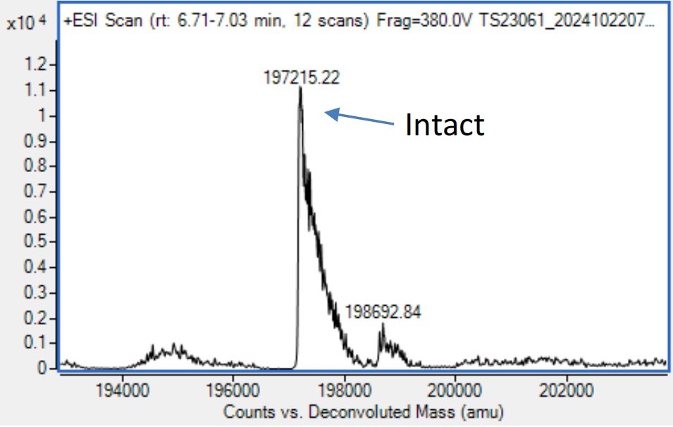 0 - Anti-EGFR & HER3 Reference Antibody (Izalontamab) APR11578