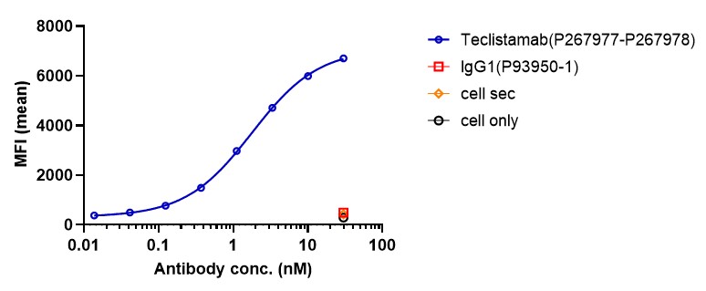0 - Anti-CD3 & BCMA Reference Antibody (Teclistamab) APR11580