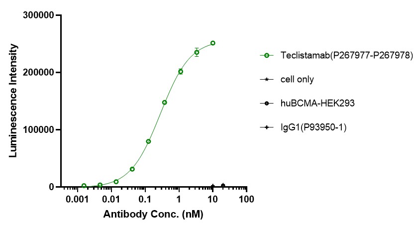 0 - Anti-CD3 & BCMA Reference Antibody (Teclistamab) APR11580