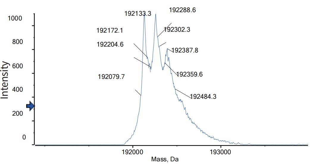 0 - Anti-BCMA & CD3 Reference Antibody (Alnuctamab) APR11581