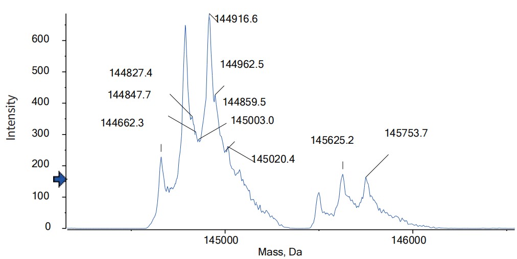 0 - Anti-cMet Reference Antibody (Davutamig) APR11582