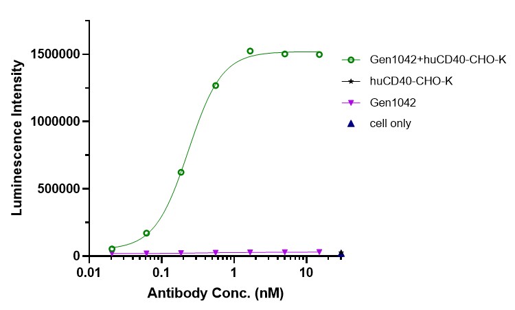 0 - Anti-4-1BB & CD40 Reference Antibody (Gen1042) APR11585