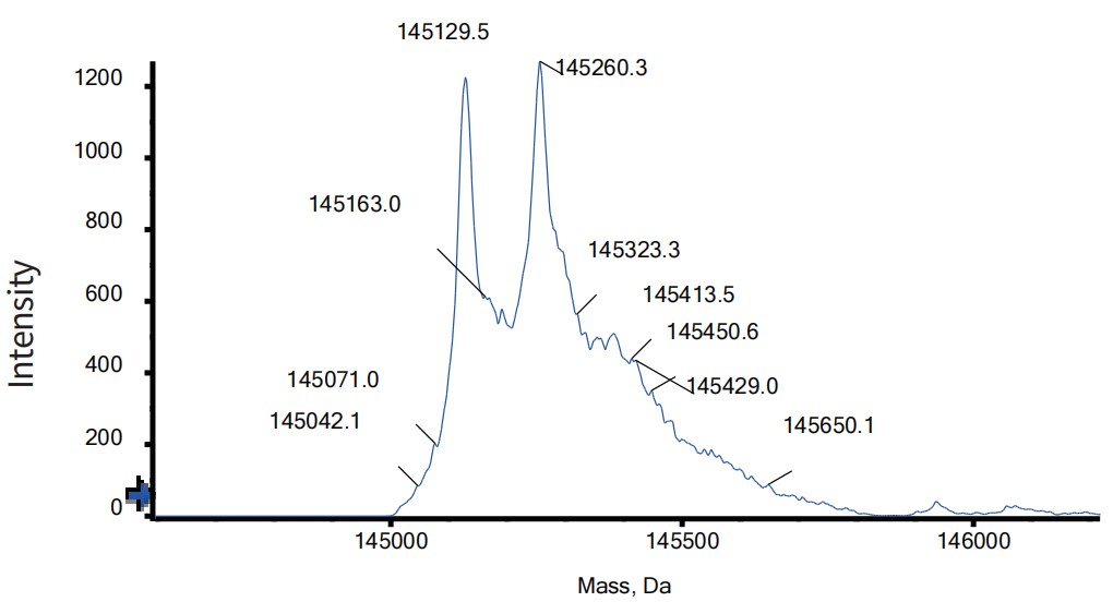 0 - Anti-4-1BB & CD40 Reference Antibody (Gen1042) APR11585