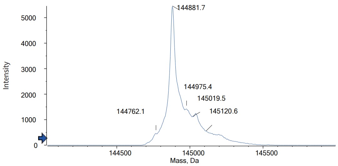 0 - Anti-CD37 Reference Antibody (Gen3009) APR11587
