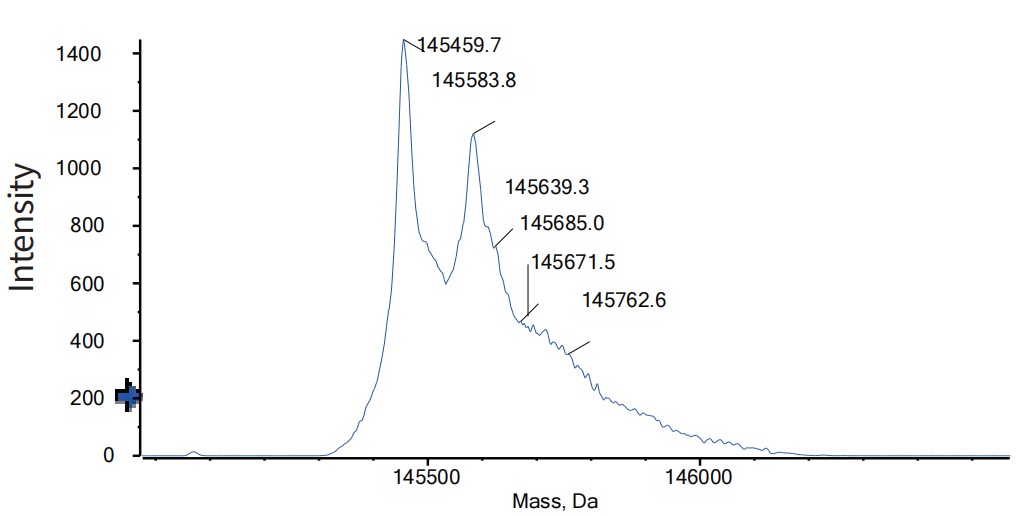 0 - Anti-CD3 & TPBG Reference Antibody (Gen1044) APR11588