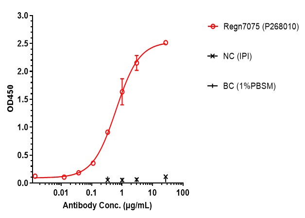 0 - Anti-CD28 & EGFR Reference Antibody (Regn7075) APR11589