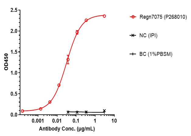 0 - Anti-CD28 & EGFR Reference Antibody (Regn7075) APR11589