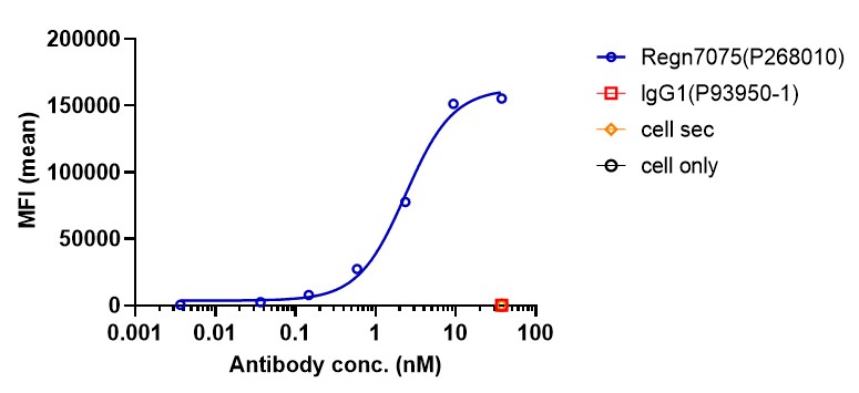 0 - Anti-CD28 & EGFR Reference Antibody (Regn7075) APR11589