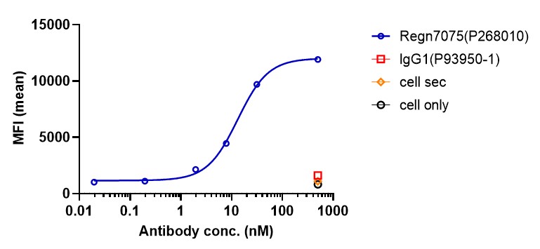 0 - Anti-CD28 & EGFR Reference Antibody (Regn7075) APR11589