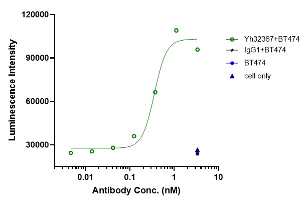 0 - Anti-4-1BB & HER2/neu Reference Antibody (Yh32367) APR11590