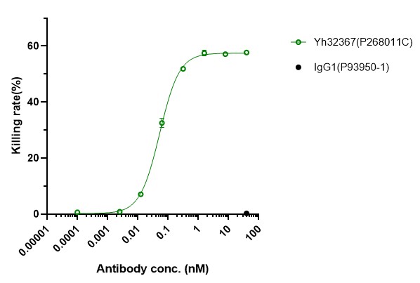 0 - Anti-4-1BB & HER2/neu Reference Antibody (Yh32367) APR11590