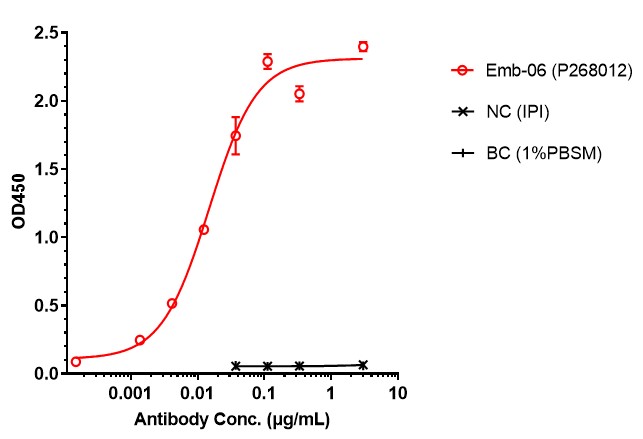 0 - Anti-BCMA & CD3 Reference Antibody (Emb-06) APR11591