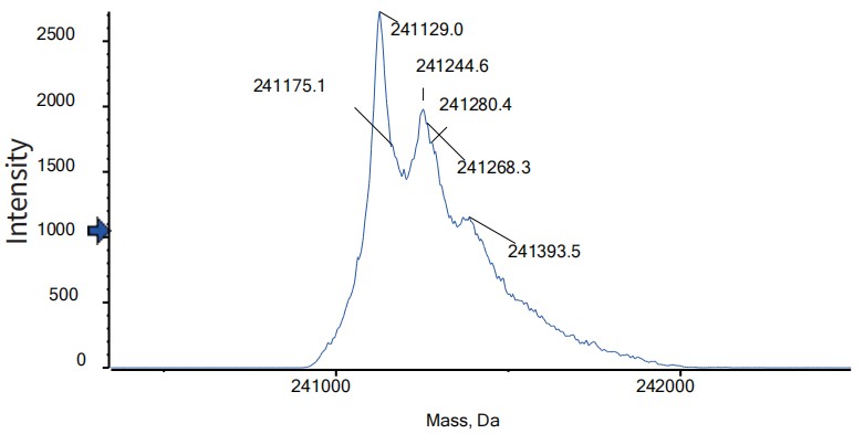 0 - Anti-BCMA & CD3 Reference Antibody (Emb-06) APR11591