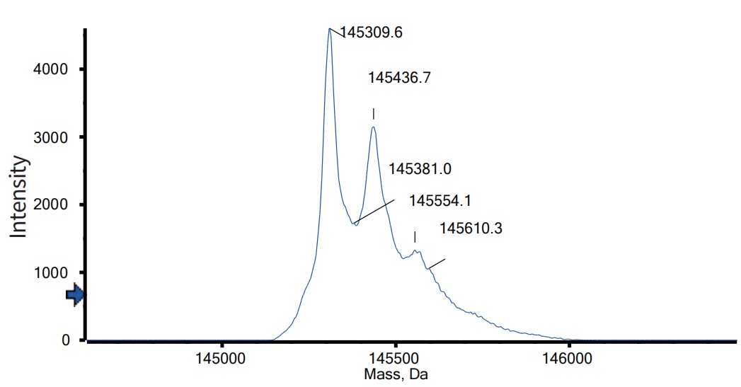 0 - Anti-B7-H3 & EGFR Reference Antibody (Ibi-334) APR11593
