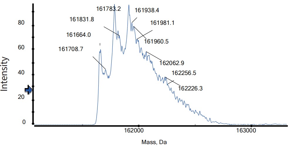 0 - Anti-IL-17 & TNF-alpha Reference Antibody (COVA322) APR11594