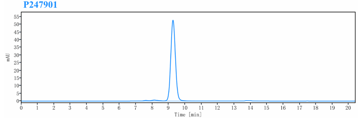 0 - Anti-CD20 & CD3 Reference Antibody (Odronextamab) APR11596