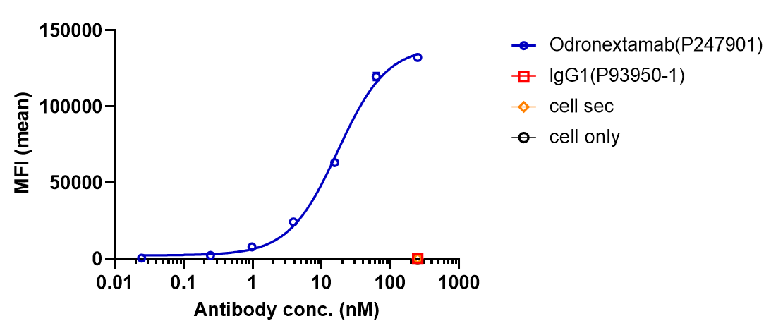 0 - Anti-CD20 & CD3 Reference Antibody (Odronextamab) APR11596